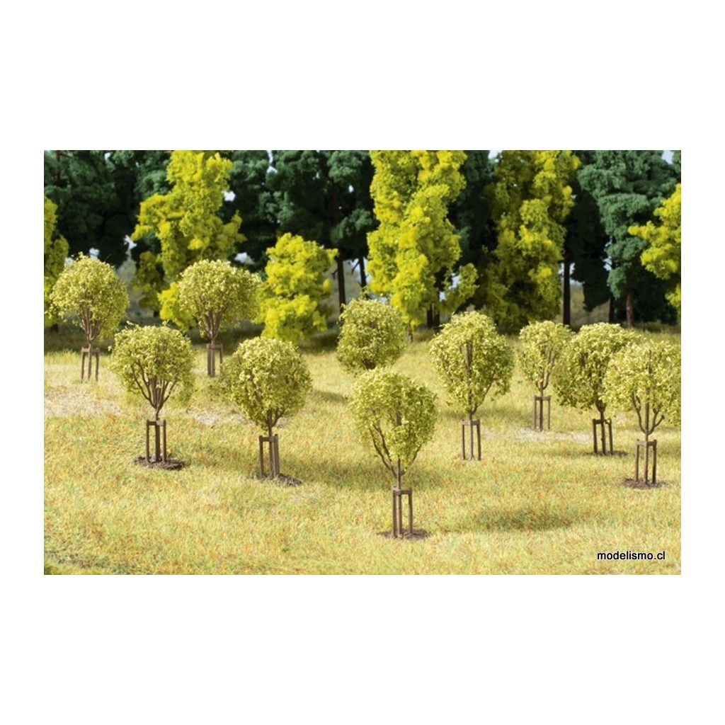 Auhagen H0 70950 Árboles jóvenes Auhagen H0 70950 Árboles jóvenes