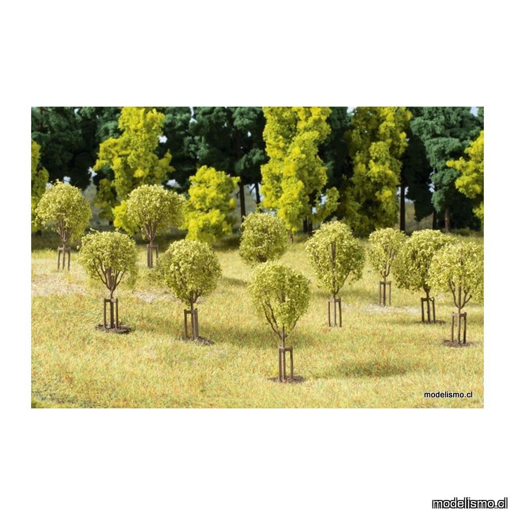 Auhagen H0 70950 ​Árboles jóvenes