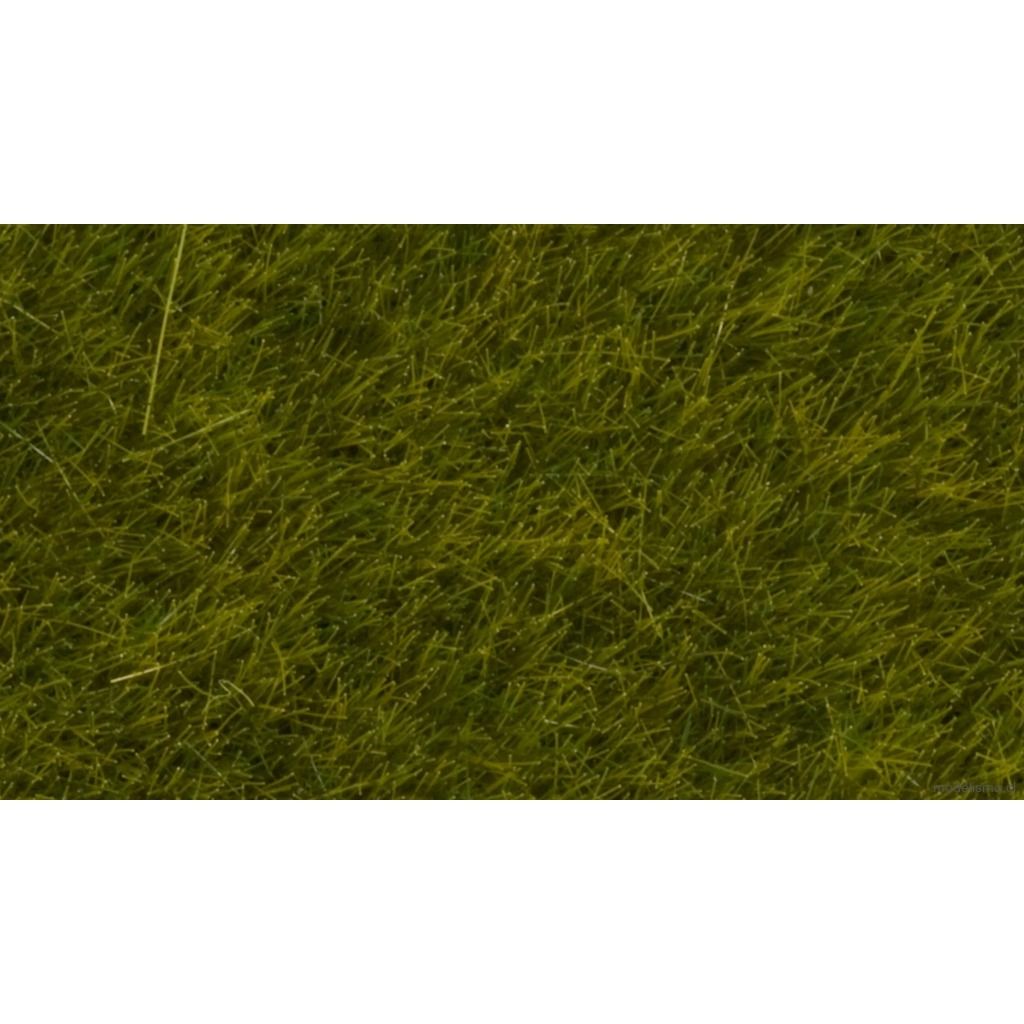 Noch 07100 Hierbas silvestres de pradera, 6 mm