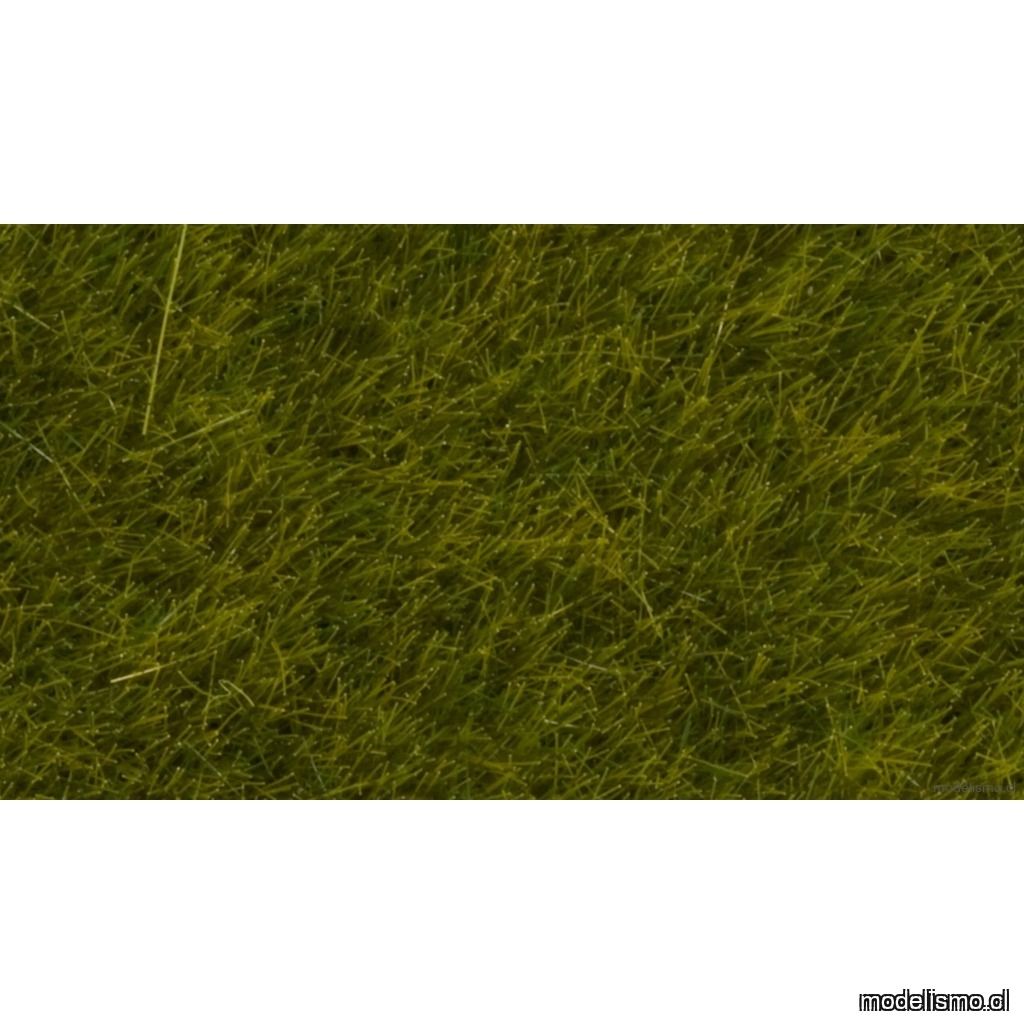 Noch 07100 Hierbas silvestres de pradera, 6 mm