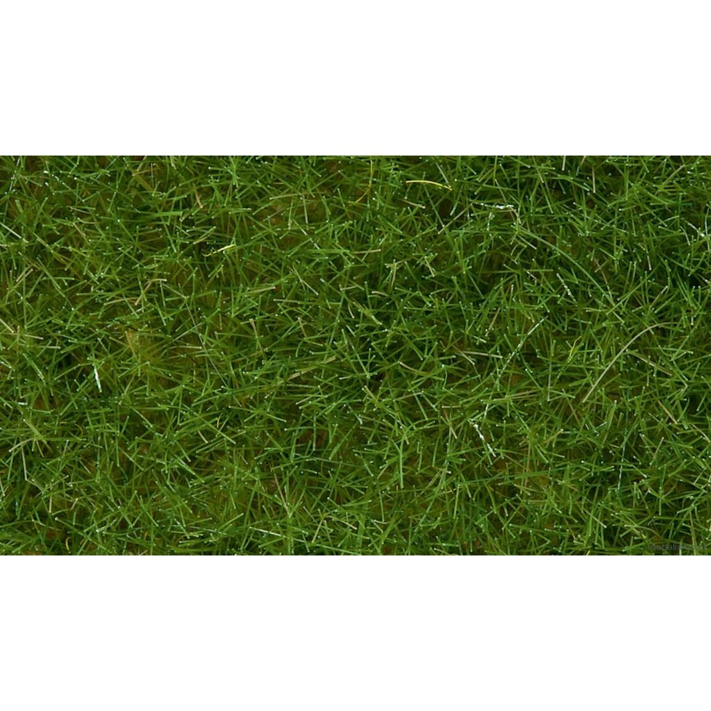 Noch 07102 Hierbas silvestres verde claro, 6 mm Noch 07102 Hierbas silvestres verde claro, 6 mm