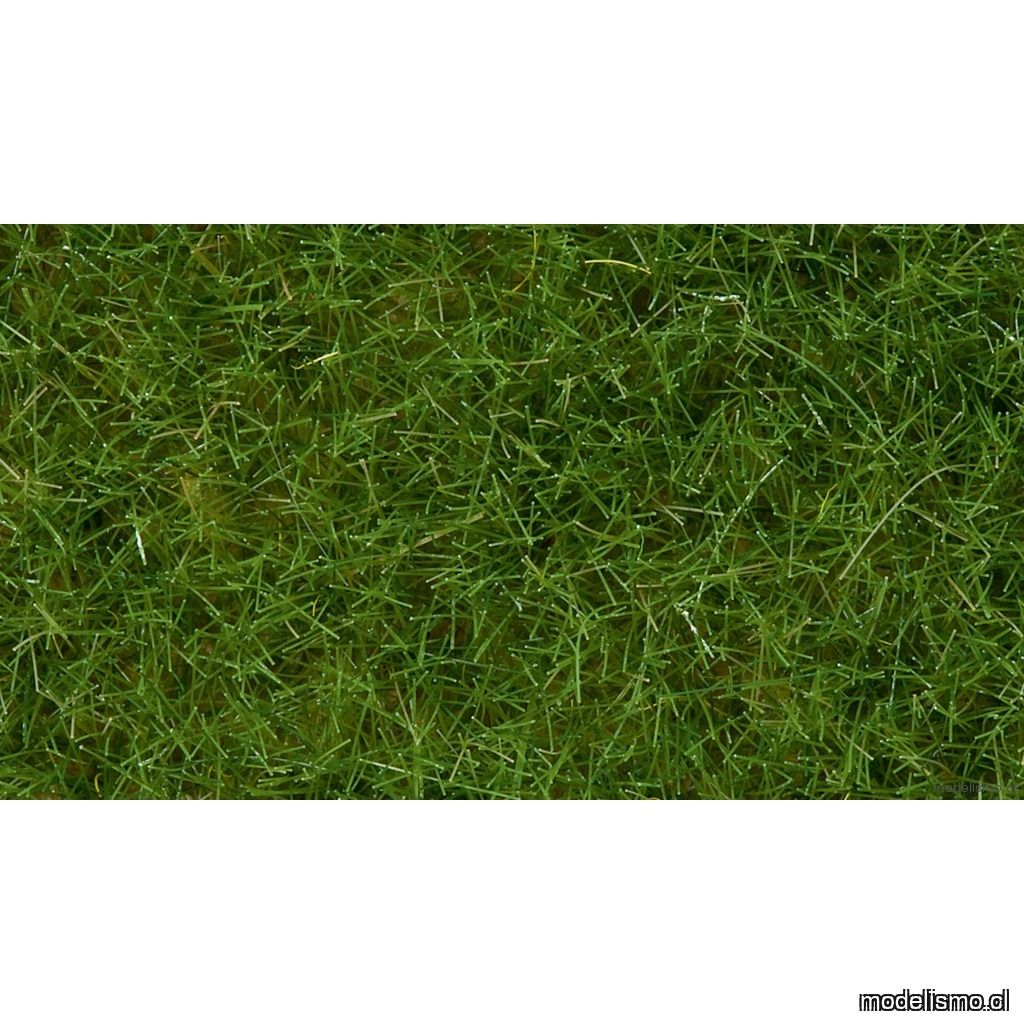 Noch 07102 Hierbas silvestres verde claro, 6 mm