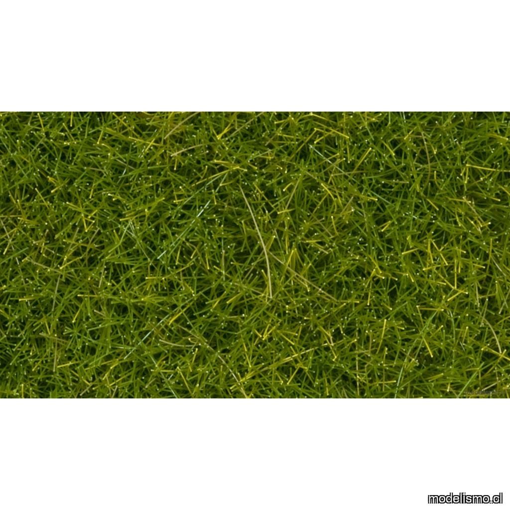 Noch 07112 Hierbas silvestres XL verde claro, 12 mm Noch 07112 Hierbas silvestres XL verde claro, 12 mm