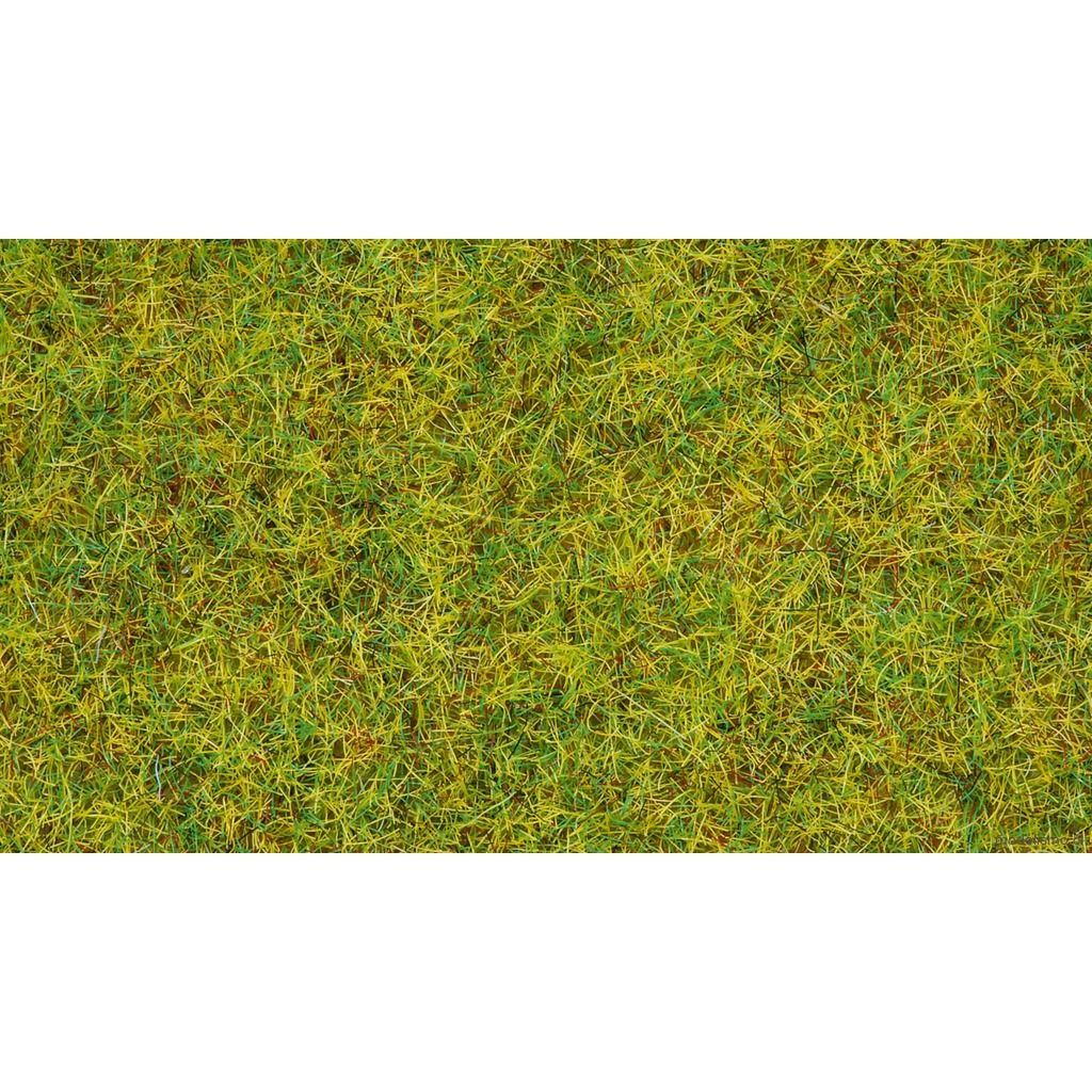reserva anticipada Noch 08310 Hierbas pradera veraniega, 2,5 mm reserva anticipada Noch 08310 Hierbas pradera veraniega, 2,5 mm