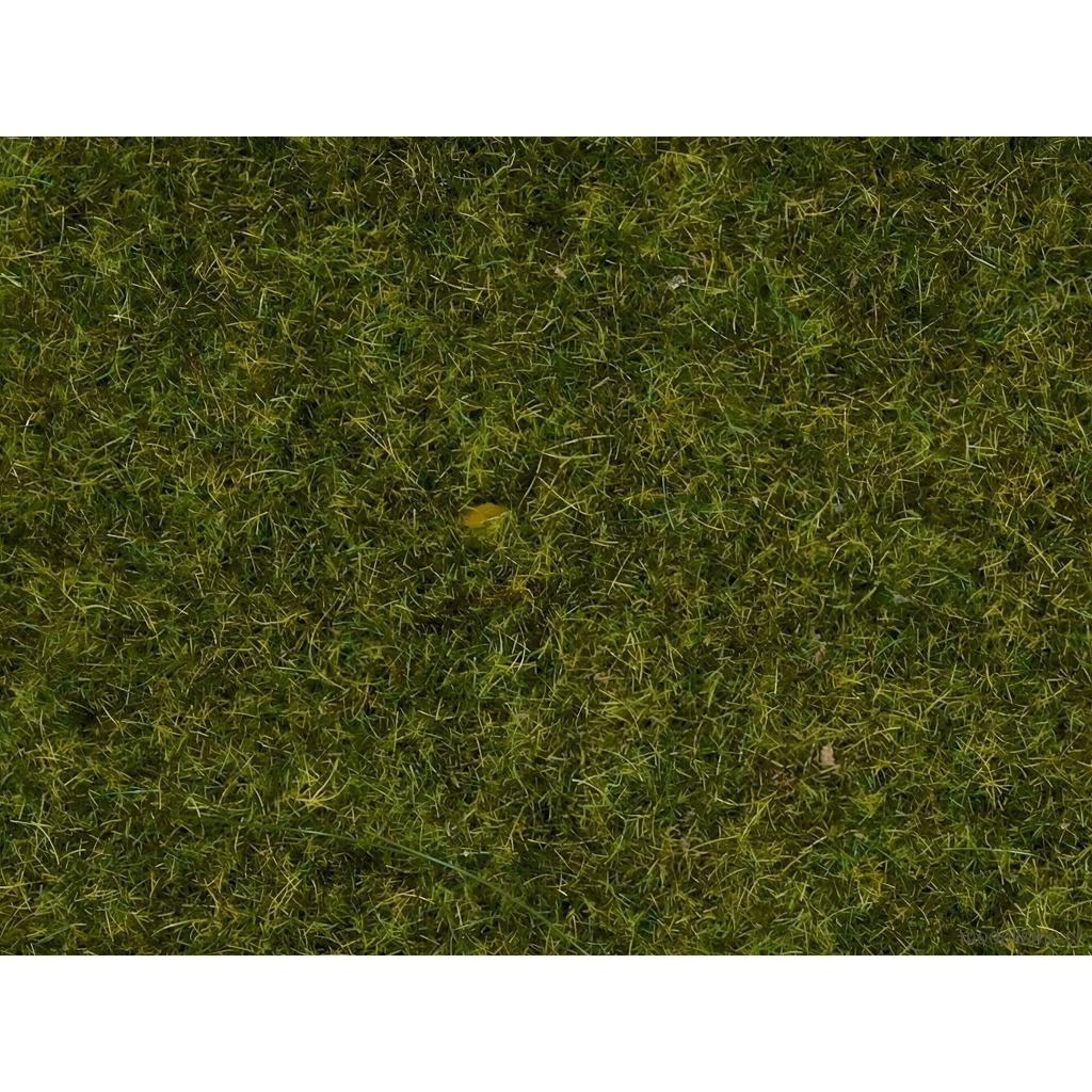 Noch 08312 Hierbas de pradera, 2,5 mm