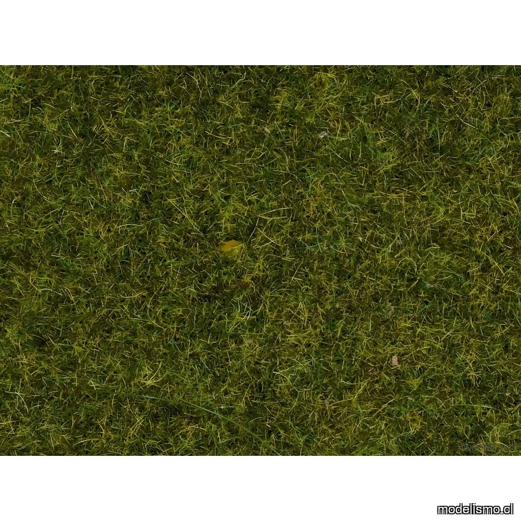 Noch 08312 Hierbas de pradera, 2,5 mm Noch 08312 Hierbas de pradera, 2,5 mm