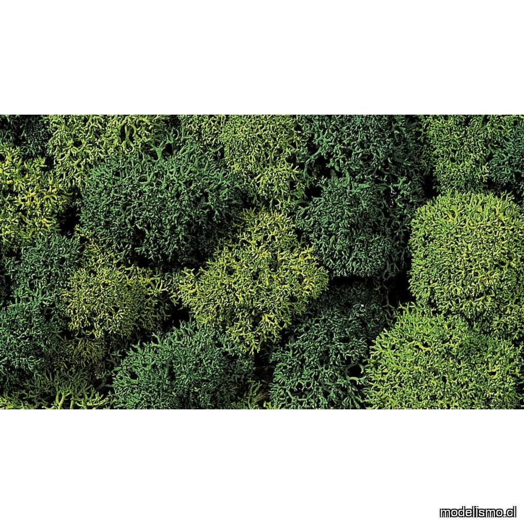 Noch 08610 Musgo decorativo, Verde Noch 08610 Musgo decorativo, Verde