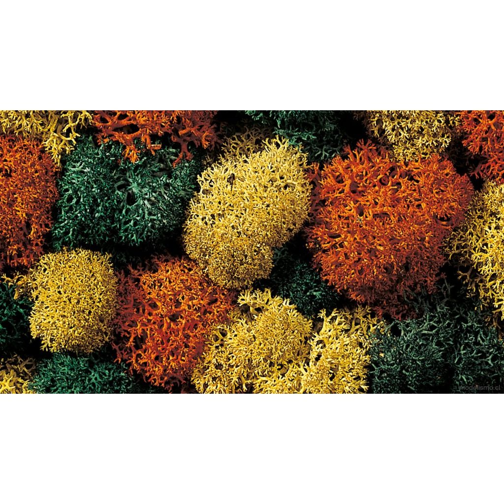 Noch 08630 Musgo decorativo, otoñal