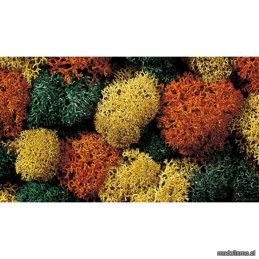 Noch 08630 Musgo decorativo, otoñal Noch 08630 Musgo decorativo, otoñal