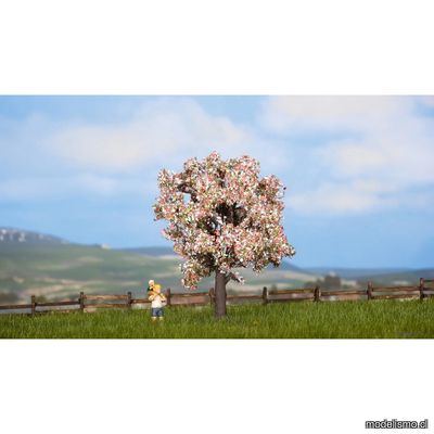 Noch 21570 Árbol frutal, florido Noch 21570 Árbol frutal, florido