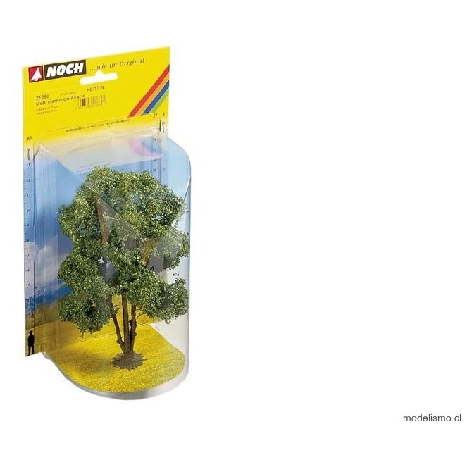 Reserva anticipada - Noch 21660 Acacia
