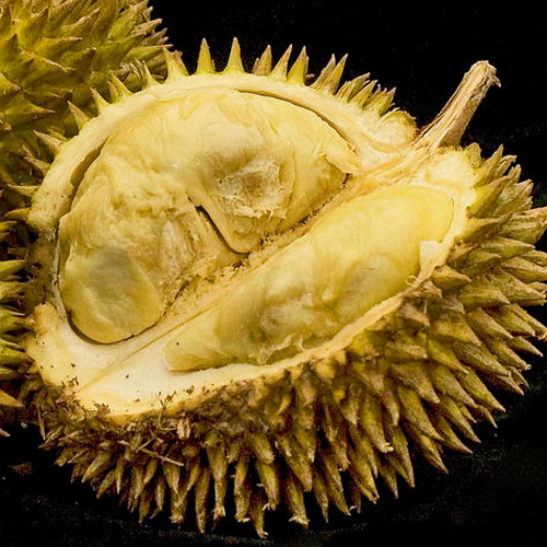 Durian