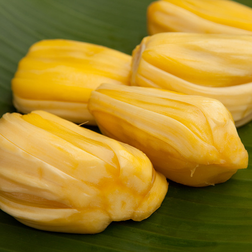 Jack Fruit