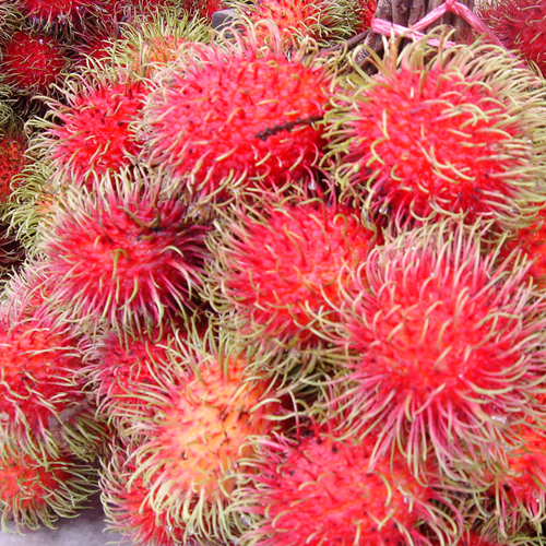 Rambutan