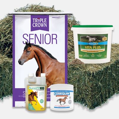 Equine Feed and Supplements