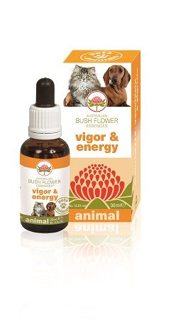 VIGOR & ENERGY 30ML
