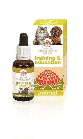TRAINING & EDUCATION 30ML