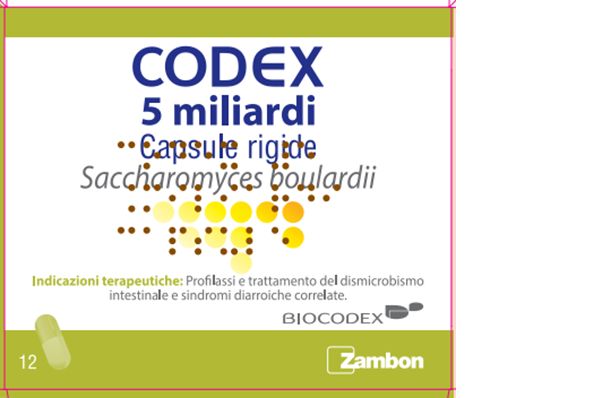 CODEX*12CPS 5MLD 250MG CODEX*12CPS 5MLD 250MG