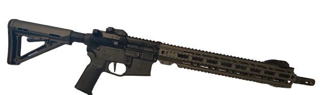 Pro Quad Rail Series AR Rifle