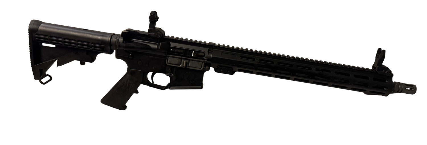 Entry Series AR Rifle