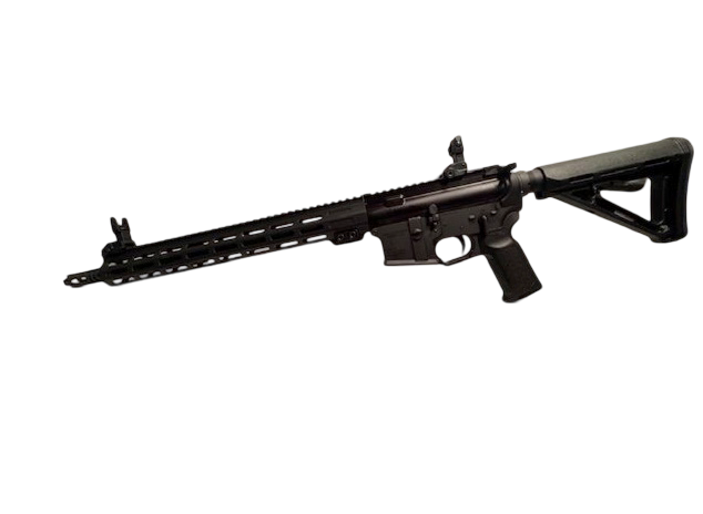 Pro Series AR Rifle
