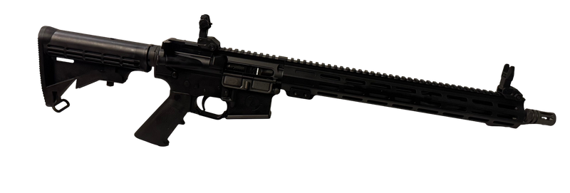 Entry Series AR Rifle