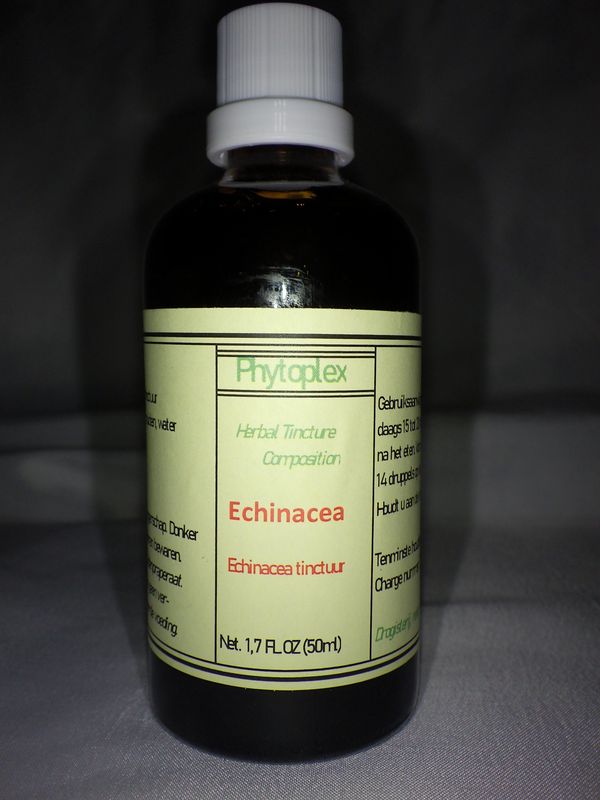 Echinacea