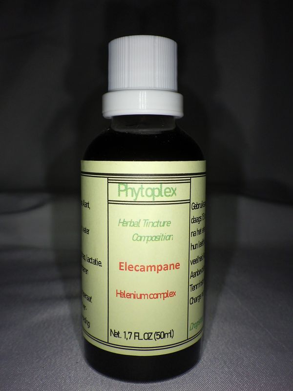 Elecampane