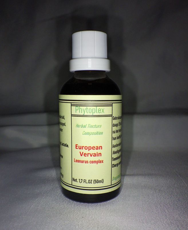 European vervain