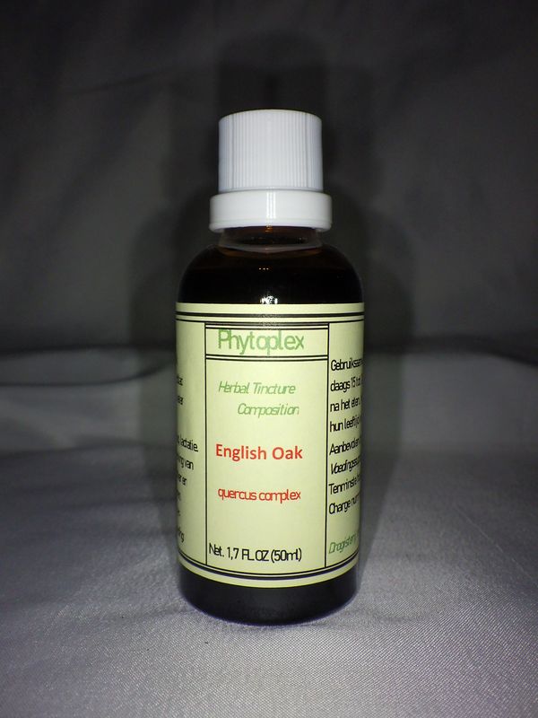 Enlish Oak
