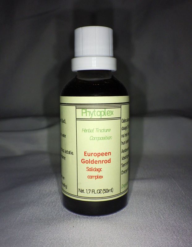 Europeen Goldenrod