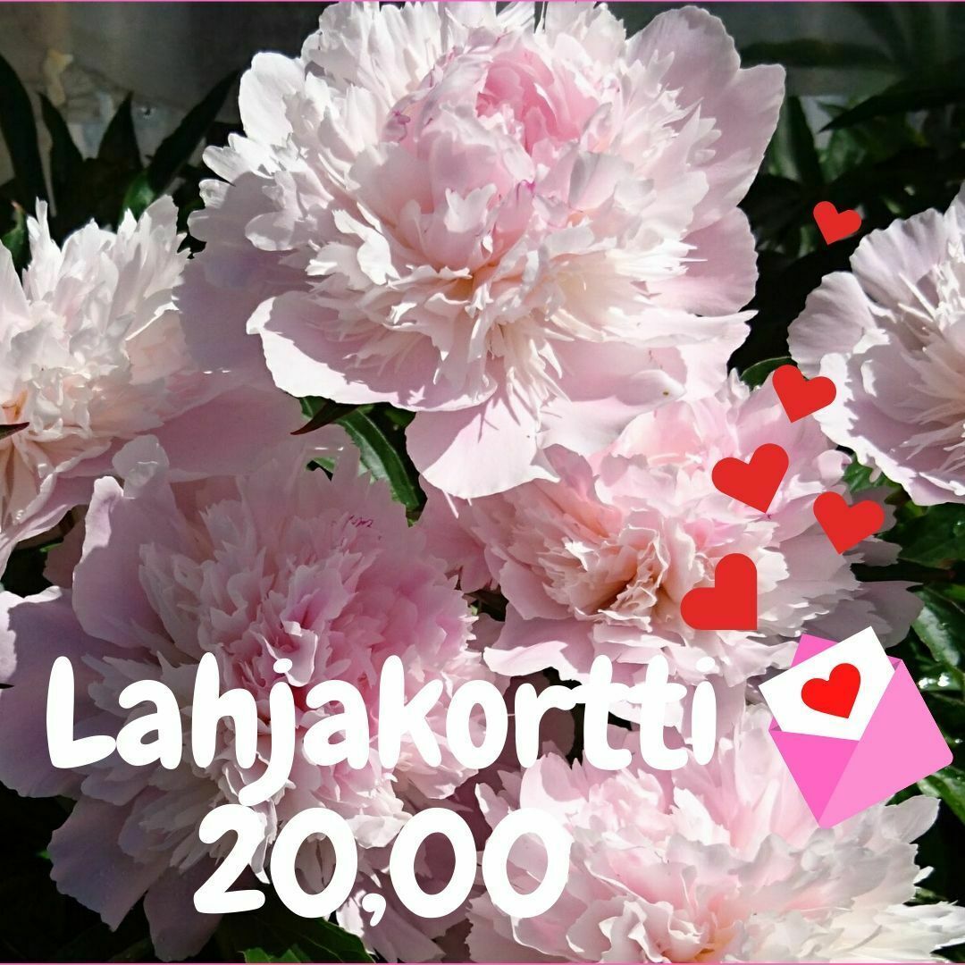 Lahjakortti