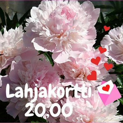 Lahjakortti
