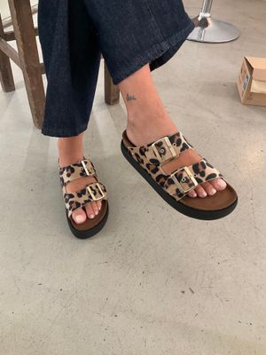 Ciabatta platform - GENUINS