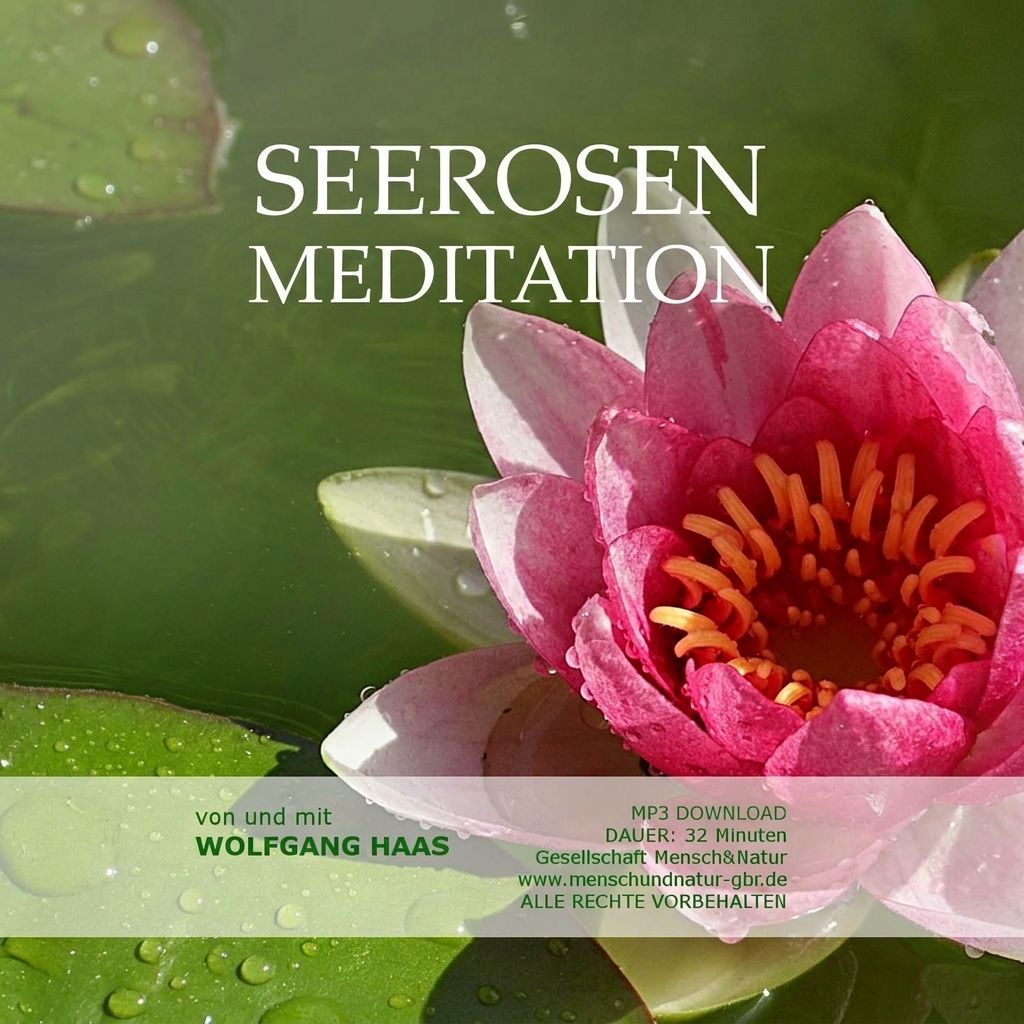 Die Seerosenmeditation / MP3-Download Die Seerosenmeditation / MP3-Download