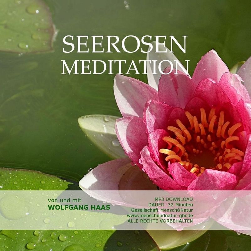 Die Seerosenmeditation  / MP3-Download