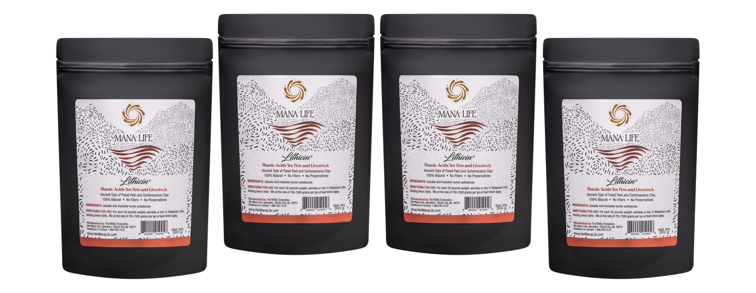 Lithicin® 300 grams 4 or more (each)