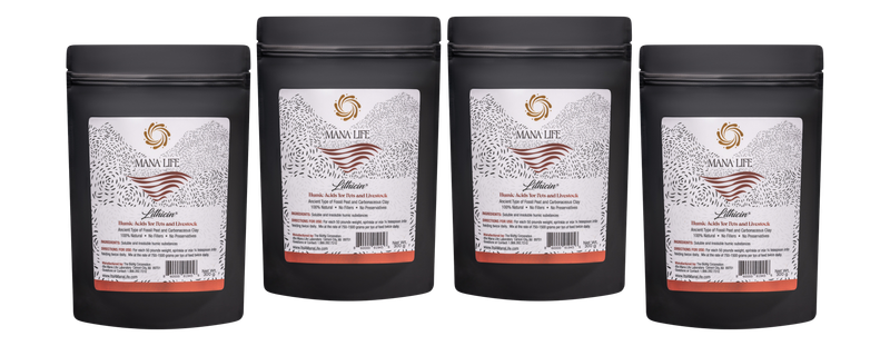 Lithicin® 300 grams 4 or more (each)