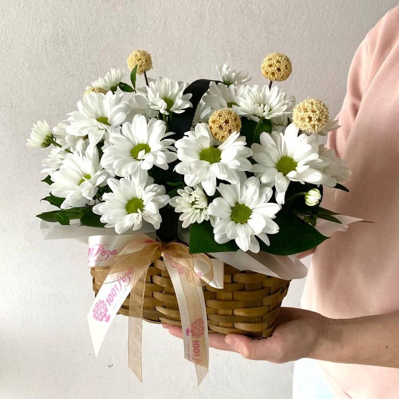 Basket of daisies