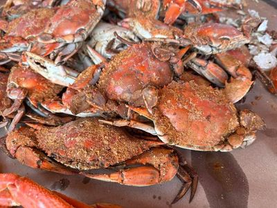 Hard Shell Crabs