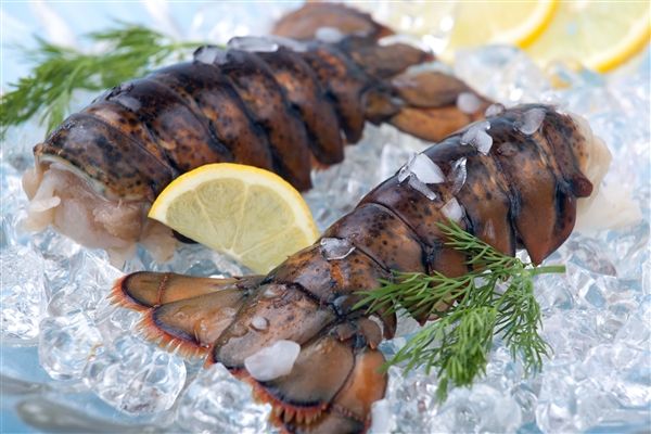 4oz. Lobster Tails (Cold Water, Maine) 4oz. Lobster Tails (Cold Water, Maine)