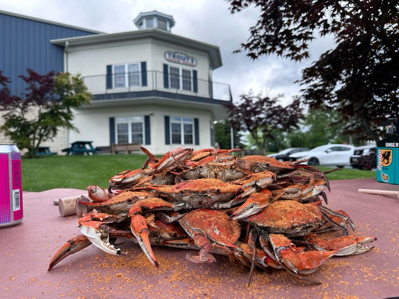 Medium Male (5½-6in) Hard Shell Crabs