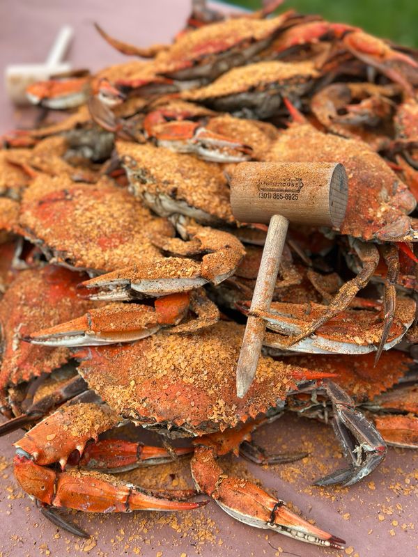 Jumbo Male (7in. plus) Hard Shell Crabs