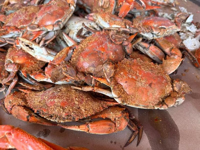 Maryland #1 Males Hard Shell Crabs