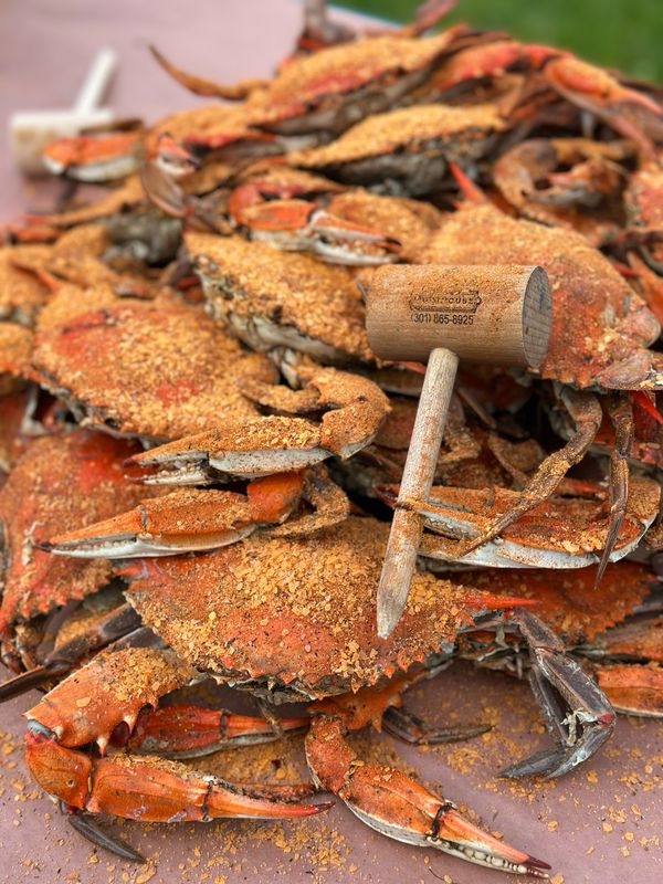 Maryland #1 Males Hard Shell Crabs