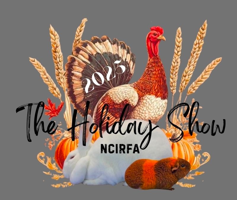 HOLIDAY SHOW NCIRFA 2025 🐰🐇