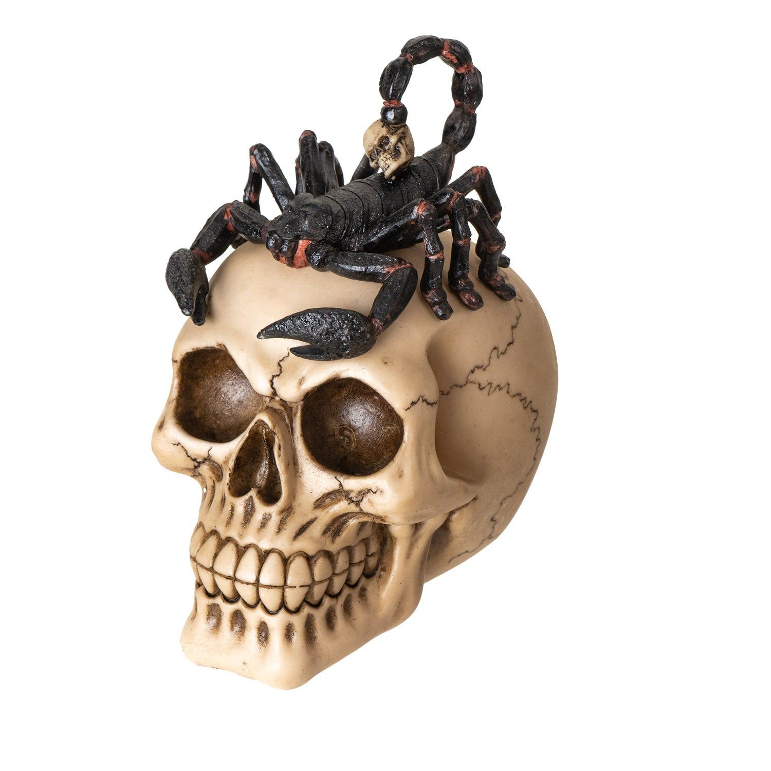 6.6&quot; Scorpion on Skull Statue, SKU PG-15979, UPC 700317393993