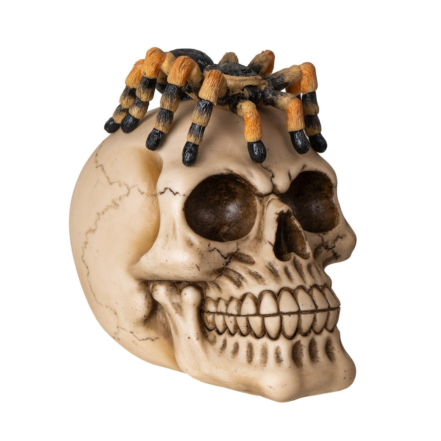 5.9&quot; Spider on Skull Statue, SKU PG-15980, UPC 700317394013