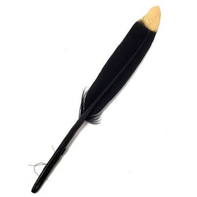 5-6&quot; Black Feather with Golden Tip, SKU K02-01-FTH-SML-BGT-1, UPC 700317354864