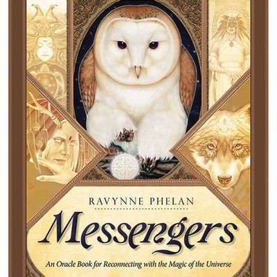 Messengers (Hardcover) by Ravynne Phelan, SKU LW2173, UPC 700317354451